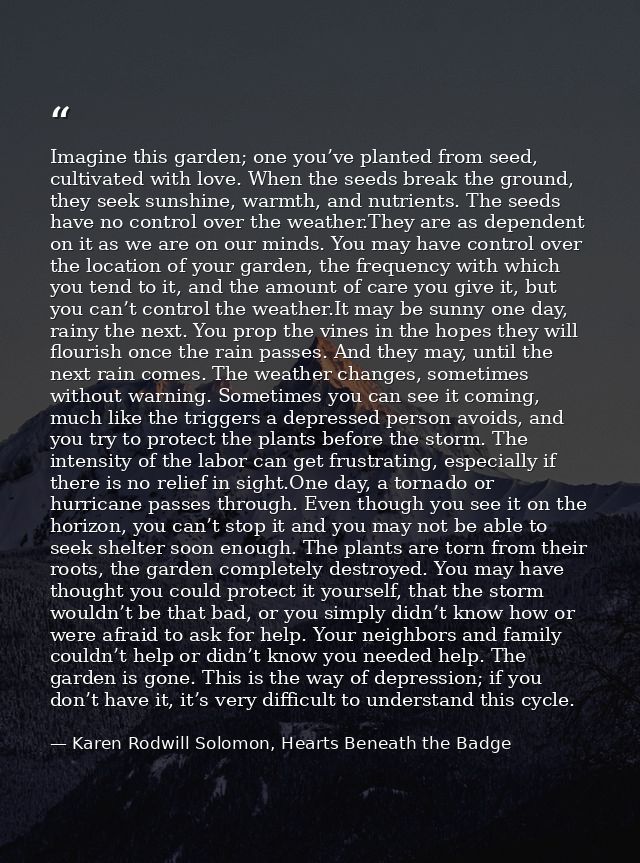 Imagine this garden; one you’ve planted from seed, cultivated with love. When the seeds break the ground, they seek suns — Karen Rodwill Solomon, Hearts Beneath the Badge