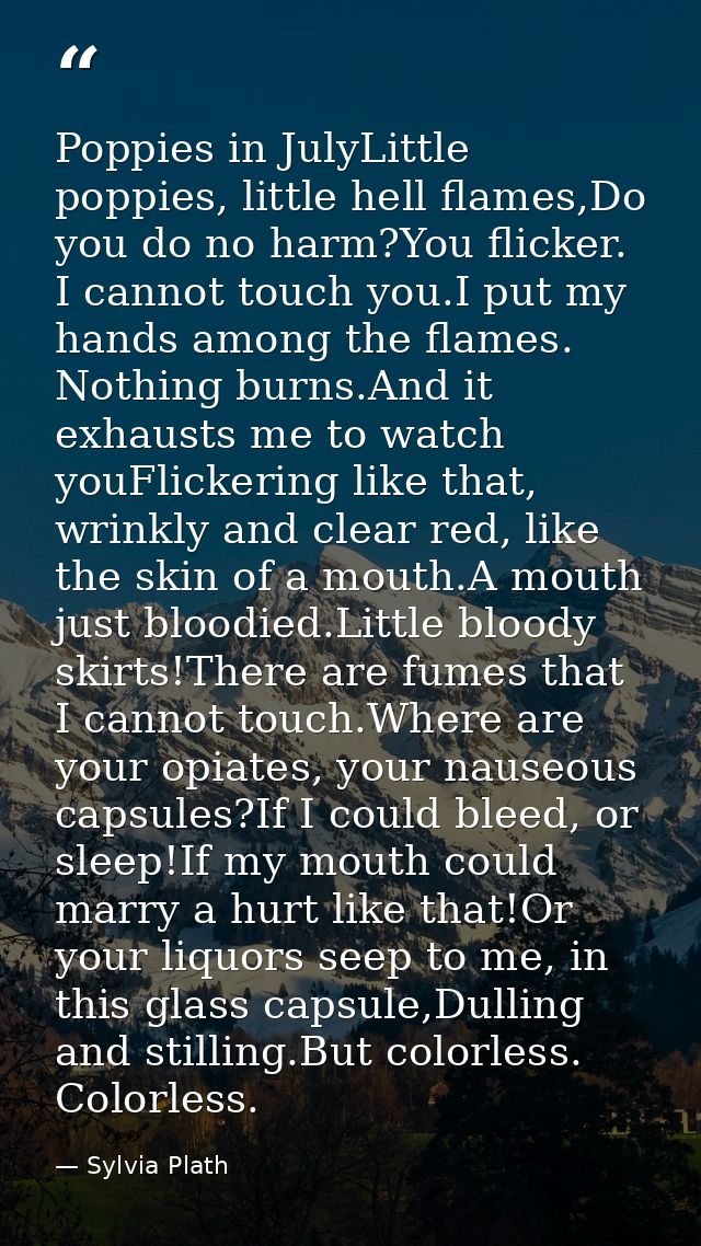Poppies in JulyLittle poppies, little hell flames,Do you do no harm?You flicker. I cannot touch you.I put my hands among — Sylvia Plath