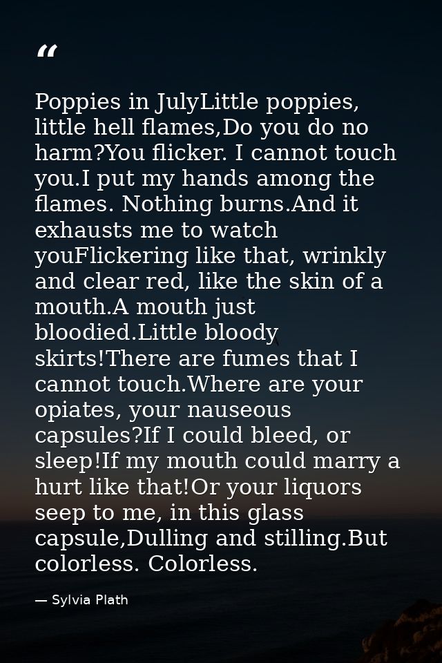 Poppies in JulyLittle poppies, little hell flames,Do you do no harm?You flicker. I cannot touch you.I put my hands among — Sylvia Plath