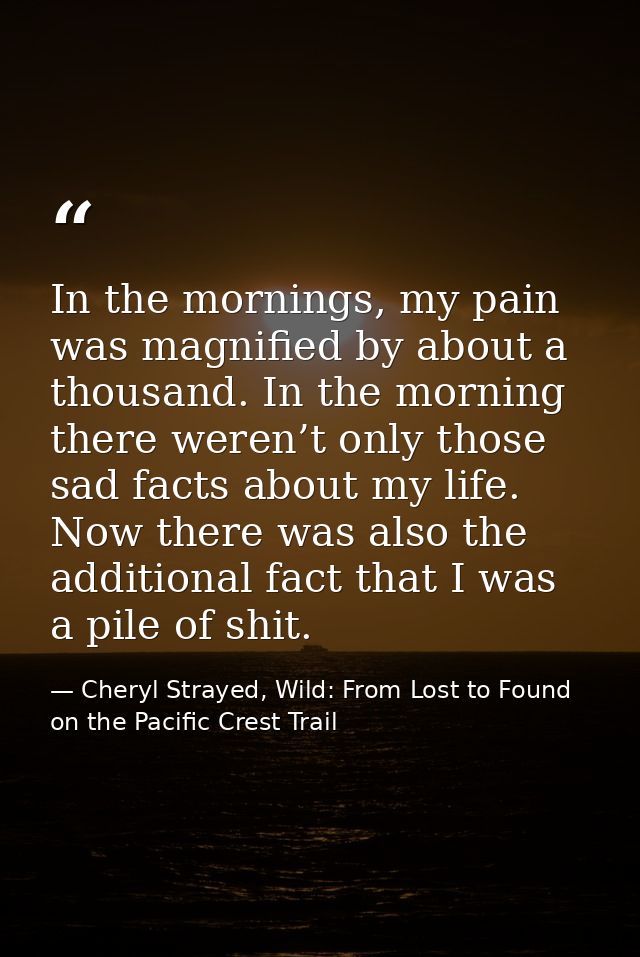In the mornings, my pain was magnified by about a thousand. In the morning there weren’t only those sad facts about my l — Cheryl Strayed, Wild: From Lost to Found on the Pacific Crest Trail