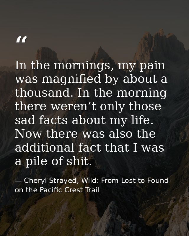 In the mornings, my pain was magnified by about a thousand. In the morning there weren’t only those sad facts about my l — Cheryl Strayed, Wild: From Lost to Found on the Pacific Crest Trail
