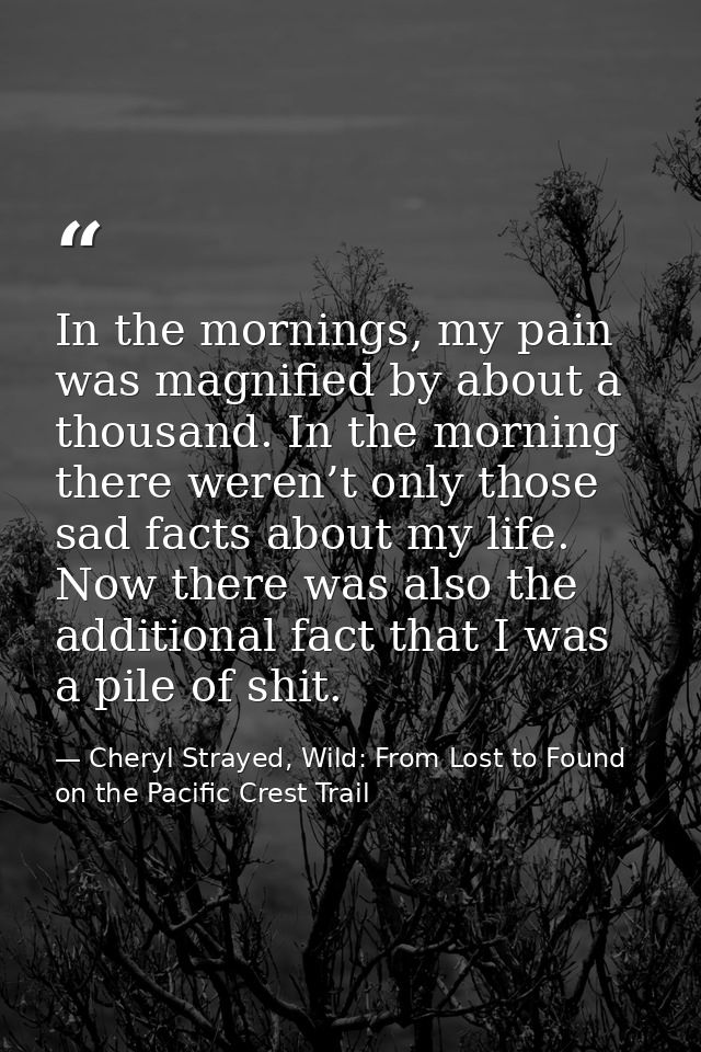 In the mornings, my pain was magnified by about a thousand. In the morning there weren’t only those sad facts about my l — Cheryl Strayed, Wild: From Lost to Found on the Pacific Crest Trail