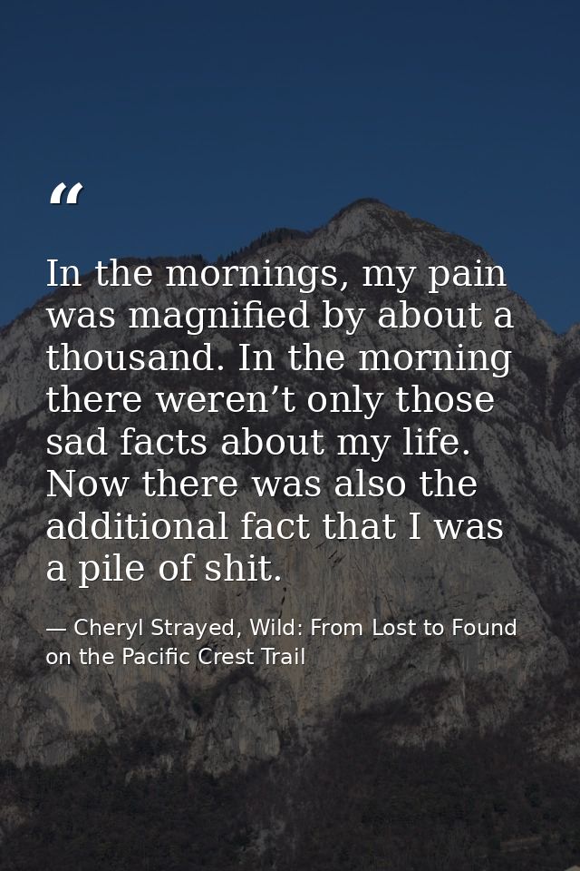 In the mornings, my pain was magnified by about a thousand. In the morning there weren’t only those sad facts about my l — Cheryl Strayed, Wild: From Lost to Found on the Pacific Crest Trail
