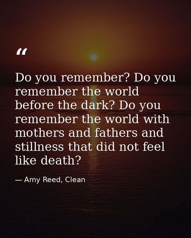 Do you remember? Do you remember the world before the dark? Do you remember the world with mothers and fathers and still — Amy Reed, Clean