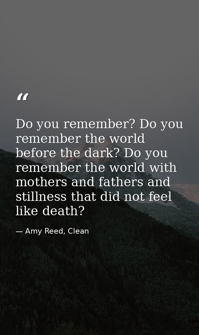 Do you remember? Do you remember the world before the dark? Do you remember the world with mothers and fathers and still — Amy Reed, Clean