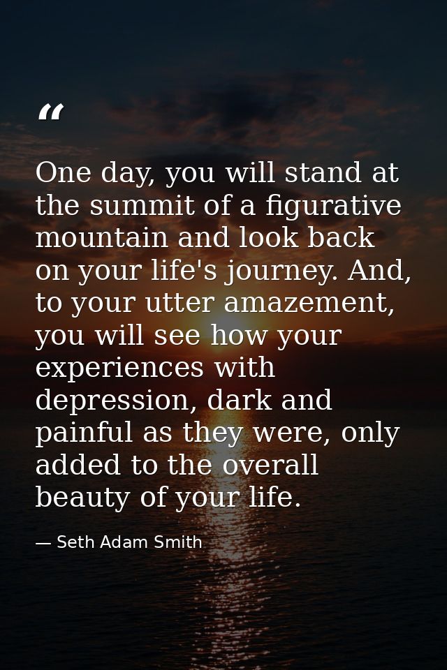 One day, you will stand at the summit of a figurative mountain and look back on your life's journey. And, to your utter  — Seth Adam Smith