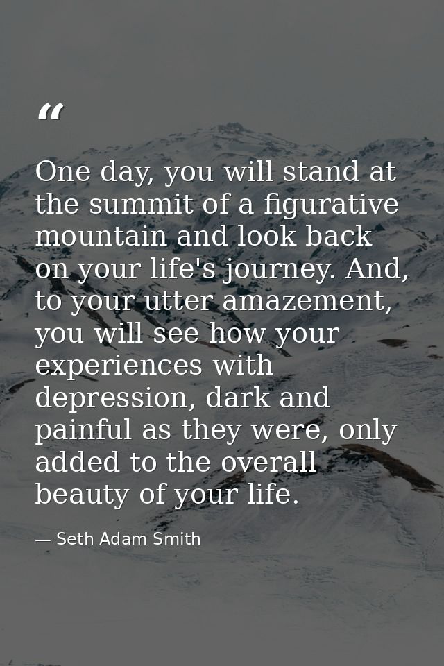 One day, you will stand at the summit of a figurative mountain and look back on your life's journey. And, to your utter  — Seth Adam Smith