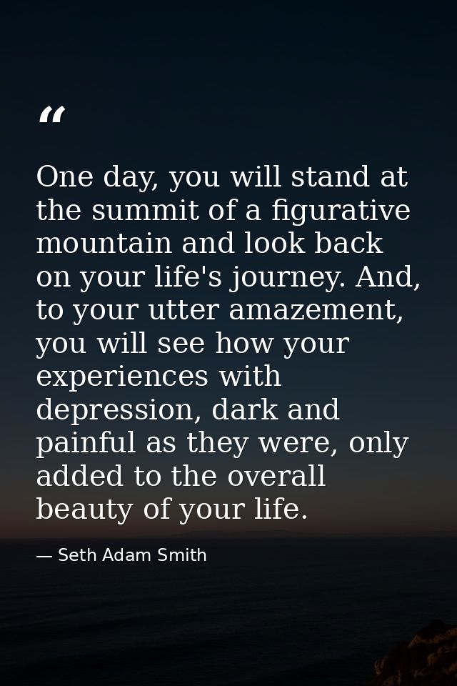 One day, you will stand at the summit of a figurative mountain and look back on your life's journey. And, to your utter  — Seth Adam Smith