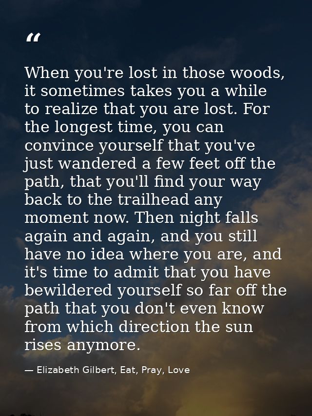 When you're lost in those woods, it sometimes takes you a while to realize that you are lost. For the longest time, you  — Elizabeth Gilbert, Eat, Pray, Love