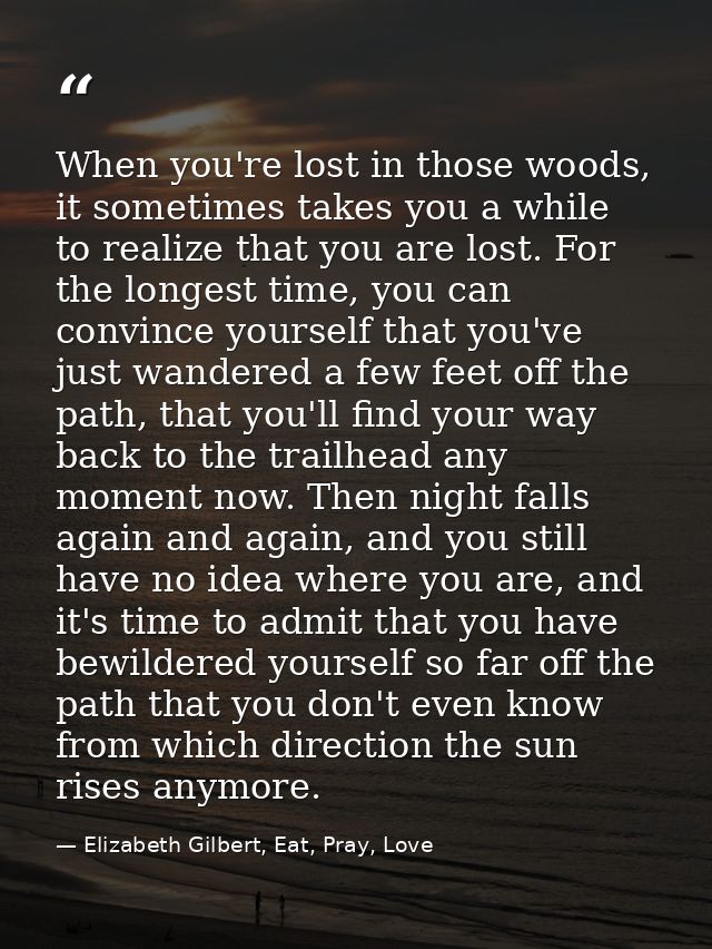 When you're lost in those woods, it sometimes takes you a while to realize that you are lost. For the longest time, you  — Elizabeth Gilbert, Eat, Pray, Love