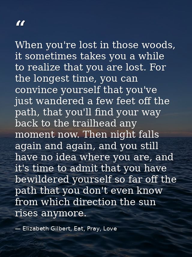 When you're lost in those woods, it sometimes takes you a while to realize that you are lost. For the longest time, you  — Elizabeth Gilbert, Eat, Pray, Love