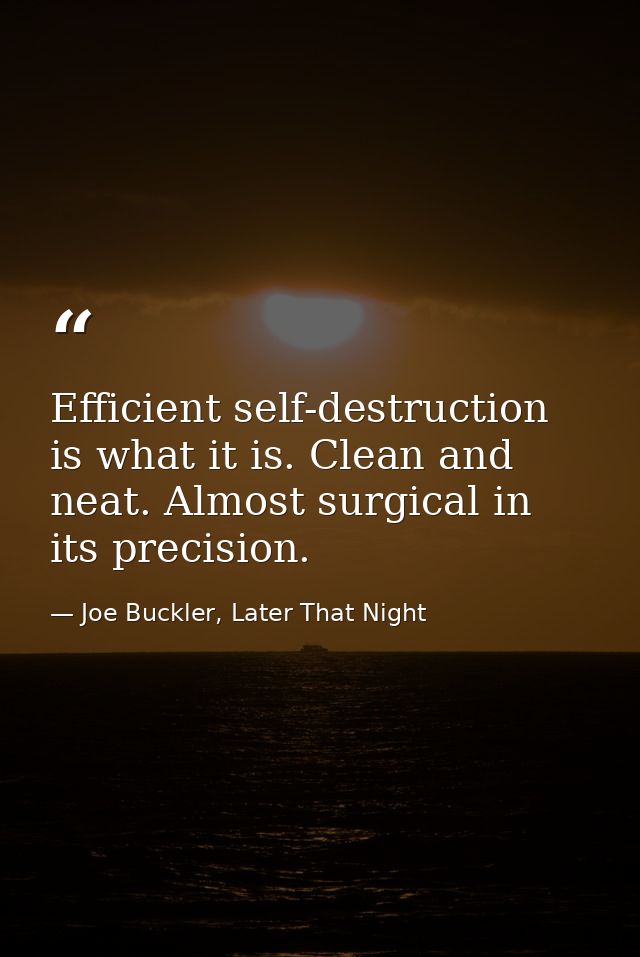 Efficient self-destruction is what it is. Clean and neat. Almost surgical in its precision. — Joe Buckler, Later That Night