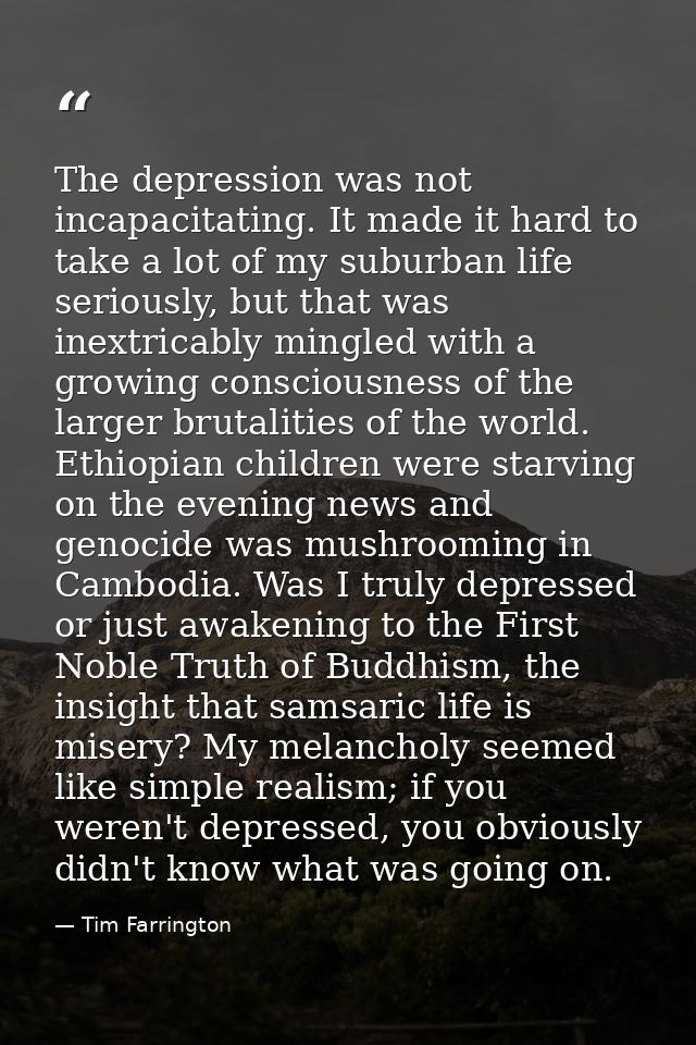 The depression was not incapacitating. It made it hard to take a lot of my suburban life seriously, but that was inextri — Tim Farrington