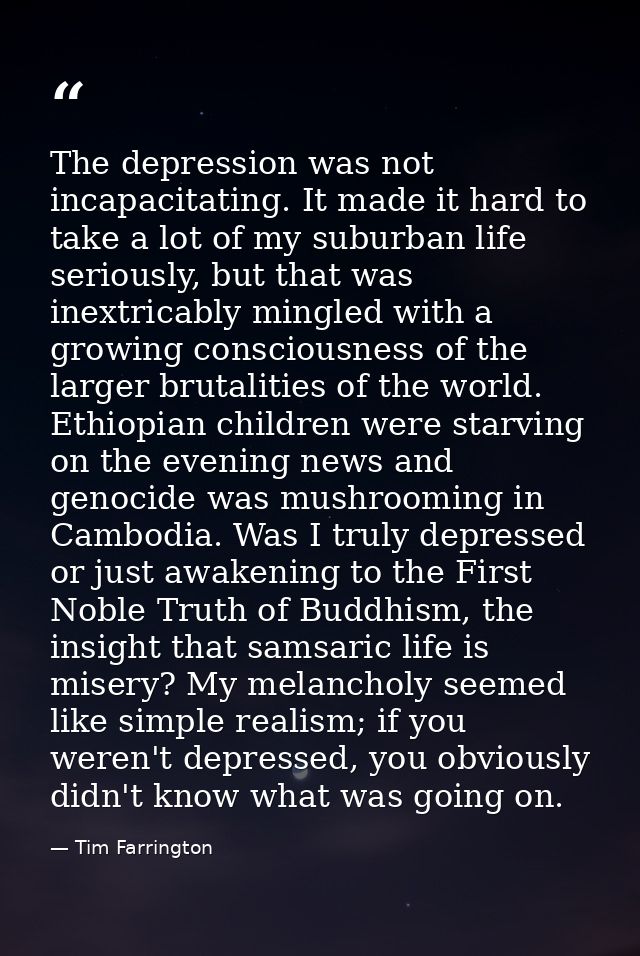 The depression was not incapacitating. It made it hard to take a lot of my suburban life seriously, but that was inextri — Tim Farrington