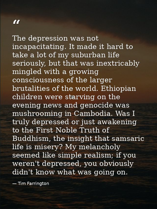 The depression was not incapacitating. It made it hard to take a lot of my suburban life seriously, but that was inextri — Tim Farrington