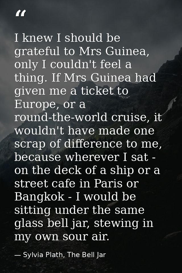 I knew I should be grateful to Mrs Guinea, only I couldn't feel a thing. If Mrs Guinea had given me a ticket to Europe,  — Sylvia Plath, The Bell Jar