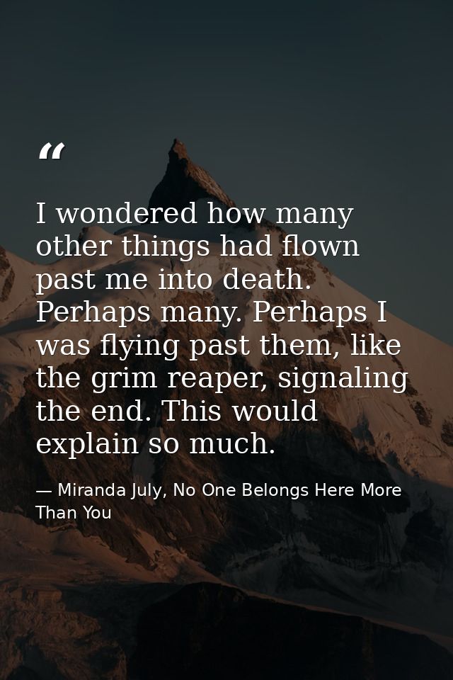 I wondered how many other things had flown past me into death. Perhaps many. Perhaps I was flying past them, like the gr — Miranda July, No One Belongs Here More Than You