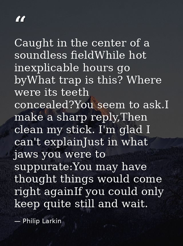Caught in the center of a soundless fieldWhile hot inexplicable hours go byWhat trap is this? Where were its teeth conce — Philip Larkin
