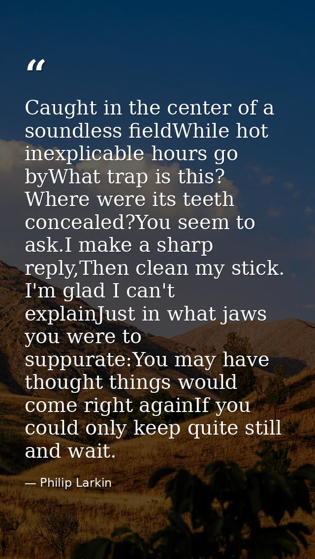 Caught in the center of a soundless fieldWhile hot inexplicable hours go byWhat trap is this? Where were its teeth conce — Philip Larkin