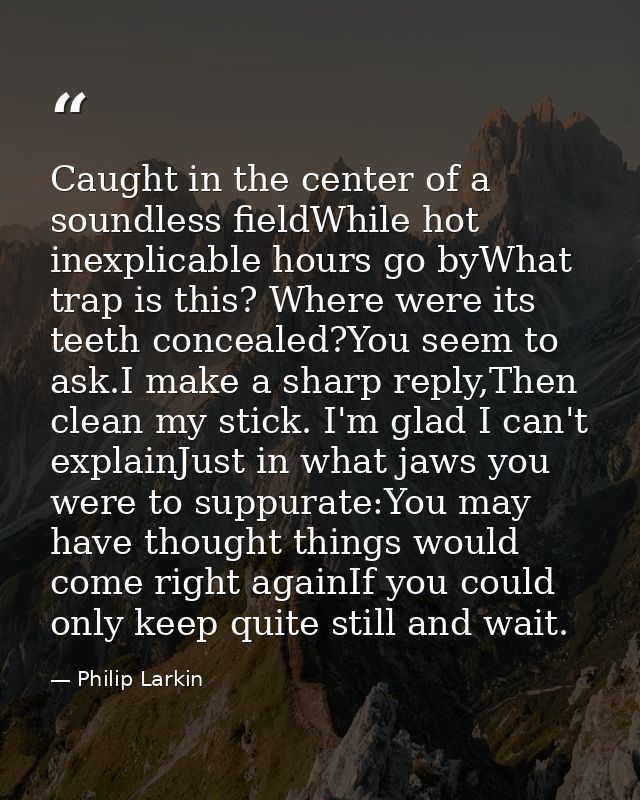 Caught in the center of a soundless fieldWhile hot inexplicable hours go byWhat trap is this? Where were its teeth conce — Philip Larkin