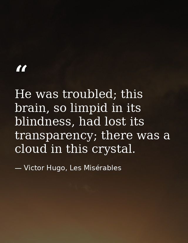 He was troubled; this brain, so limpid in its blindness, had lost its transparency; there was a cloud in this crystal. — Victor Hugo, Les Misérables