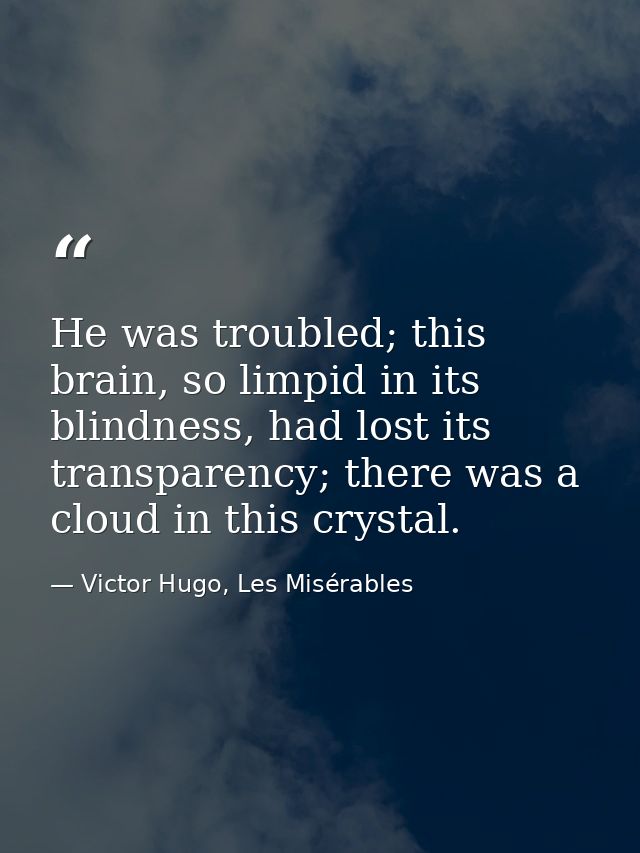He was troubled; this brain, so limpid in its blindness, had lost its transparency; there was a cloud in this crystal. — Victor Hugo, Les Misérables