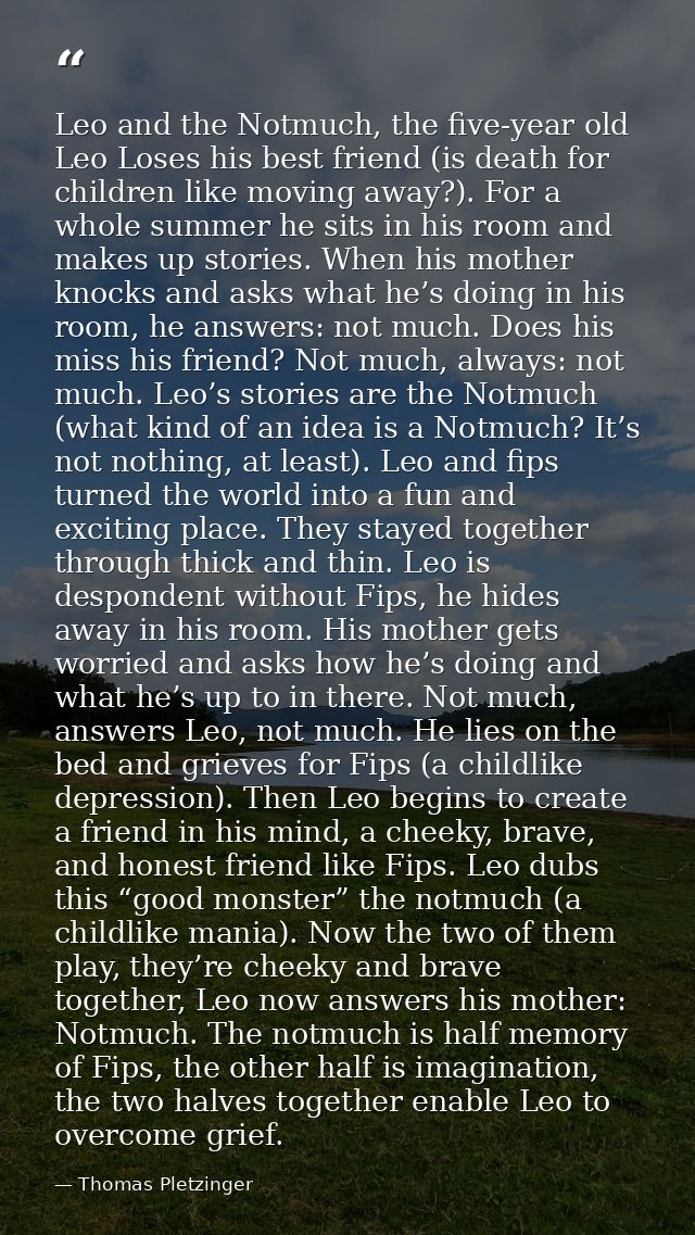 Leo and the Notmuch, the five-year old Leo Loses his best friend (is death for children like moving away?). For a whole  — Thomas Pletzinger