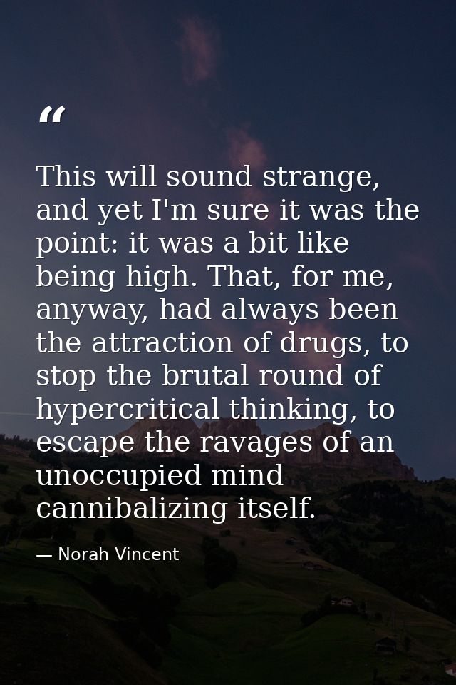 This will sound strange, and yet I'm sure it was the point: it was a bit like being high. That, for me, anyway, had alwa — Norah Vincent
