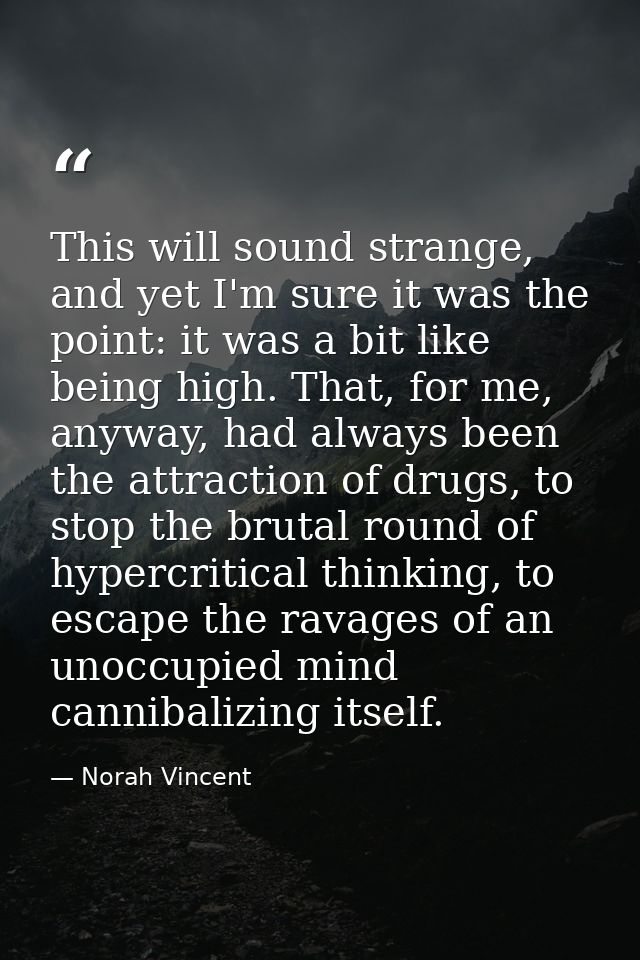 This will sound strange, and yet I'm sure it was the point: it was a bit like being high. That, for me, anyway, had alwa — Norah Vincent