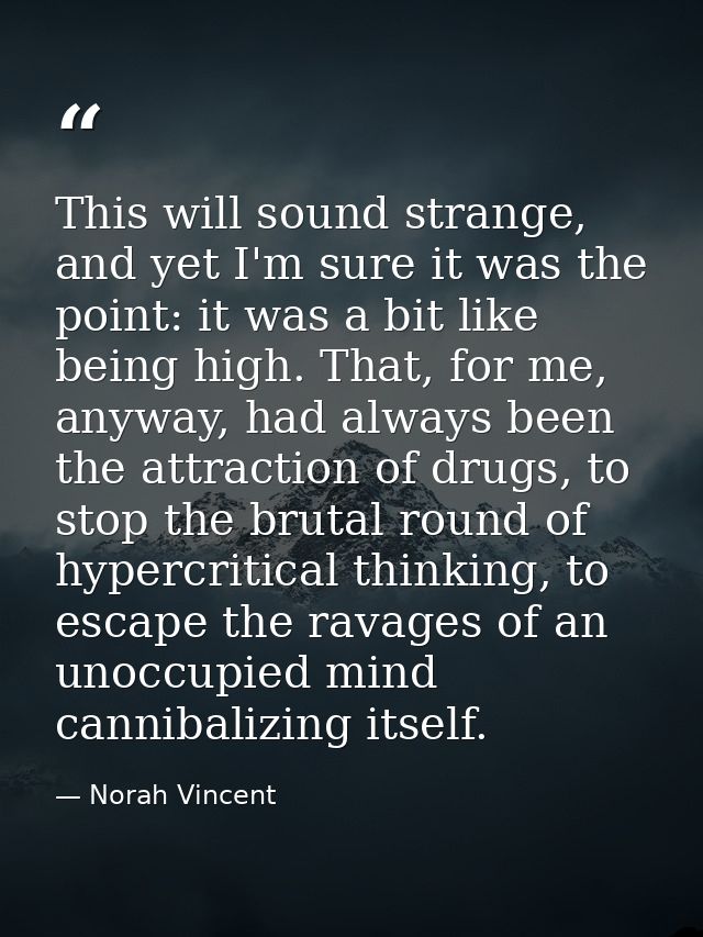 This will sound strange, and yet I'm sure it was the point: it was a bit like being high. That, for me, anyway, had alwa — Norah Vincent
