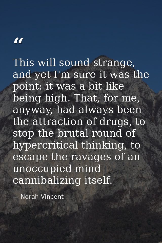 This will sound strange, and yet I'm sure it was the point: it was a bit like being high. That, for me, anyway, had alwa — Norah Vincent