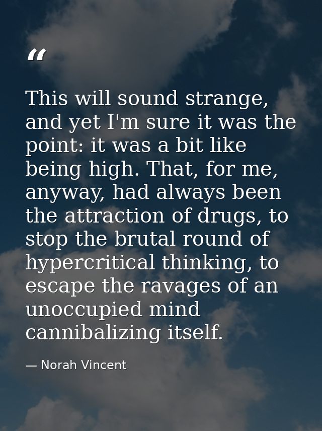 This will sound strange, and yet I'm sure it was the point: it was a bit like being high. That, for me, anyway, had alwa — Norah Vincent