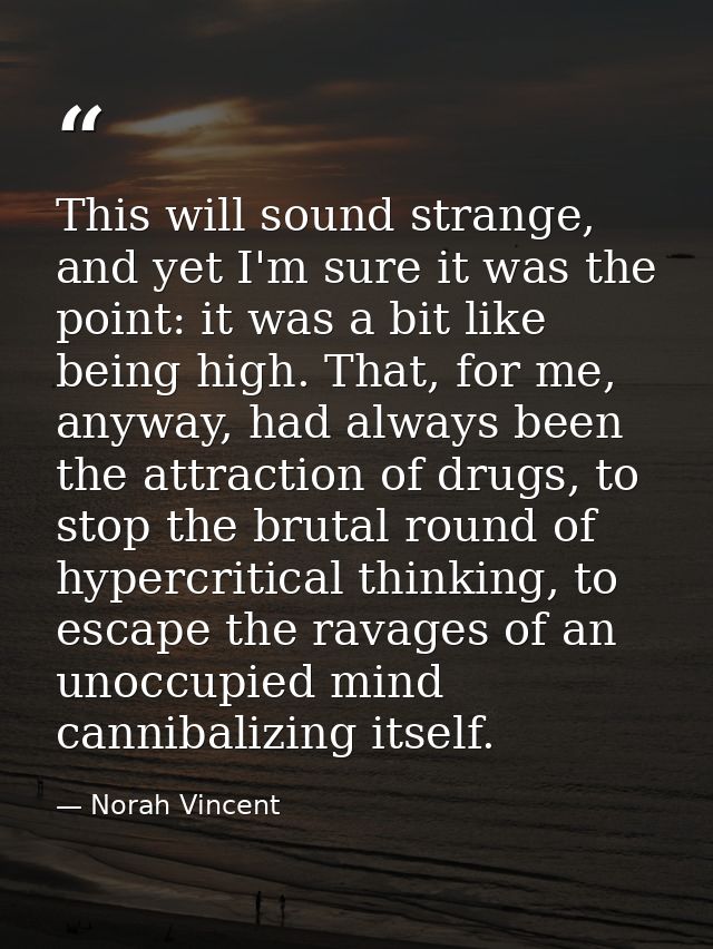 This will sound strange, and yet I'm sure it was the point: it was a bit like being high. That, for me, anyway, had alwa — Norah Vincent
