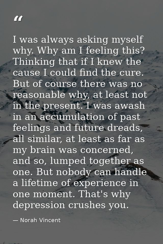 I was always asking myself why. Why am I feeling this? Thinking that if I knew the cause I could find the cure. But of c — Norah Vincent