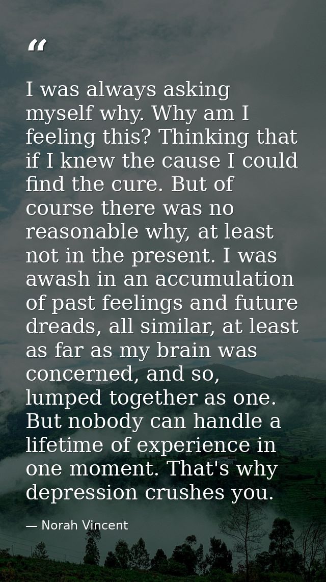 I was always asking myself why. Why am I feeling this? Thinking that if I knew the cause I could find the cure. But of c — Norah Vincent