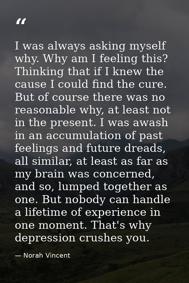 I was always asking myself why. Why am I feeling this? Thinking that if I knew the cause I could find the cure. But of c — Norah Vincent