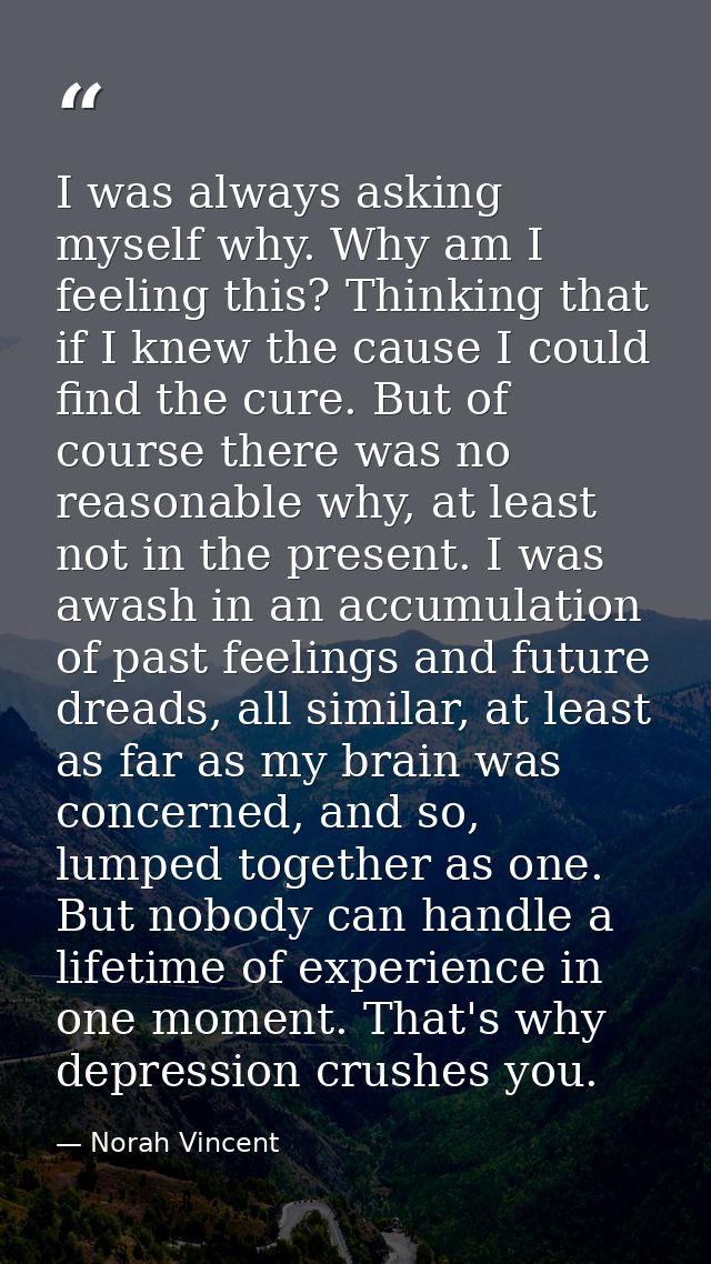 I was always asking myself why. Why am I feeling this? Thinking that if I knew the cause I could find the cure. But of c — Norah Vincent