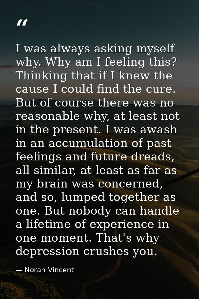 I was always asking myself why. Why am I feeling this? Thinking that if I knew the cause I could find the cure. But of c — Norah Vincent
