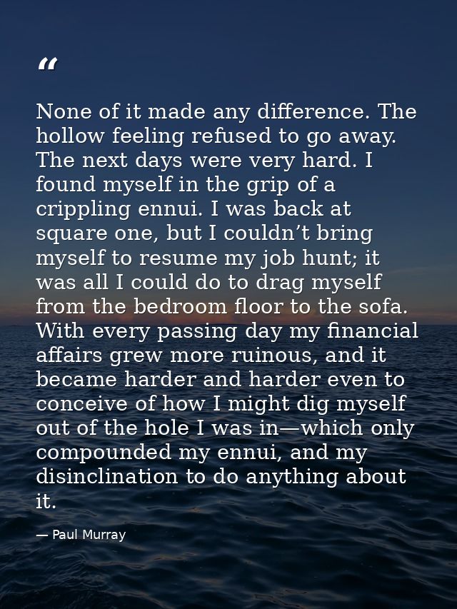 None of it made any difference. The hollow feeling refused to go away. The next days were very hard. I found myself in t — Paul Murray