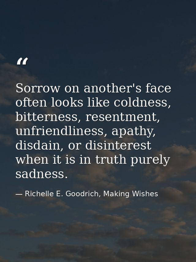 Sorrow on another's face often looks like coldness, bitterness, resentment, unfriendliness, apathy, disdain, or disinter — Richelle E. Goodrich, Making Wishes