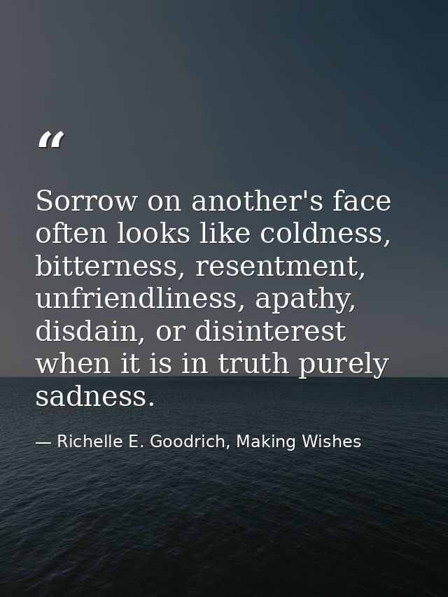 Sorrow on another's face often looks like coldness, bitterness, resentment, unfriendliness, apathy, disdain, or disinter — Richelle E. Goodrich, Making Wishes