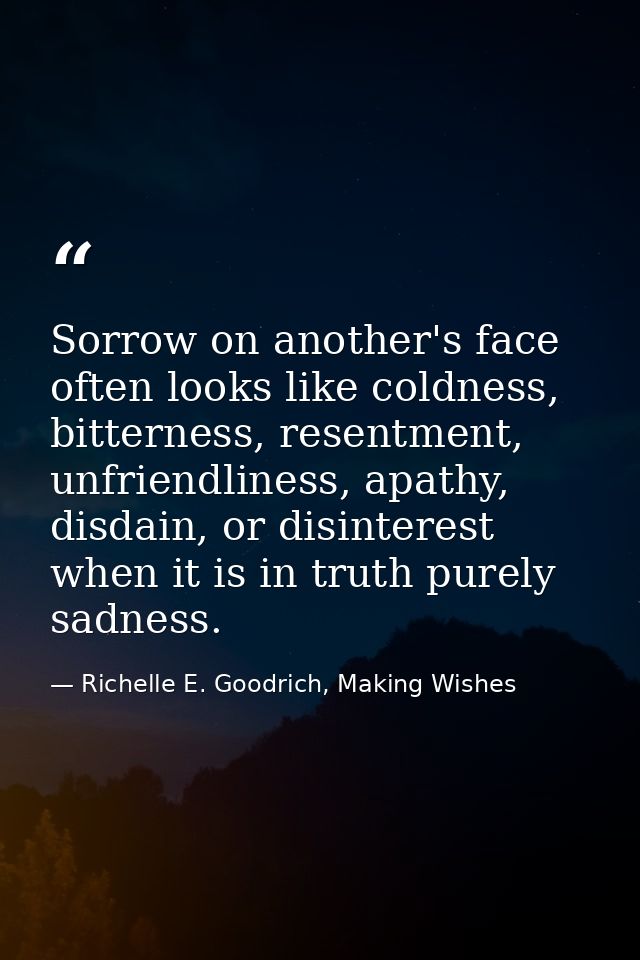 Sorrow on another's face often looks like coldness, bitterness, resentment, unfriendliness, apathy, disdain, or disinter — Richelle E. Goodrich, Making Wishes
