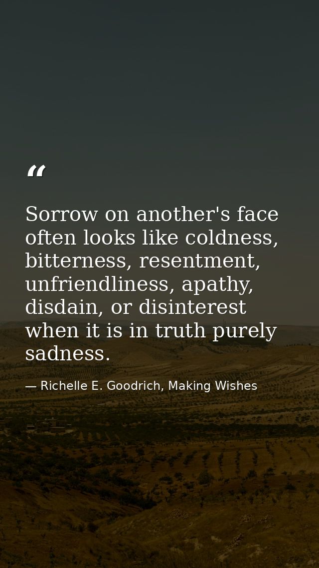 Sorrow on another's face often looks like coldness, bitterness, resentment, unfriendliness, apathy, disdain, or disinter — Richelle E. Goodrich, Making Wishes