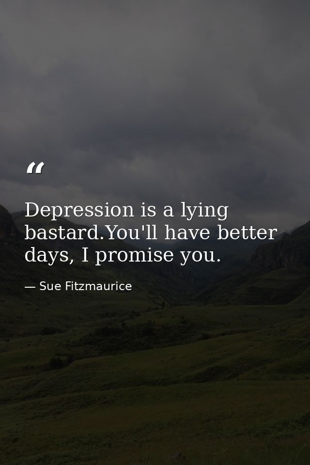 Depression is a lying bastard.You'll have better days, I promise you. — Sue Fitzmaurice