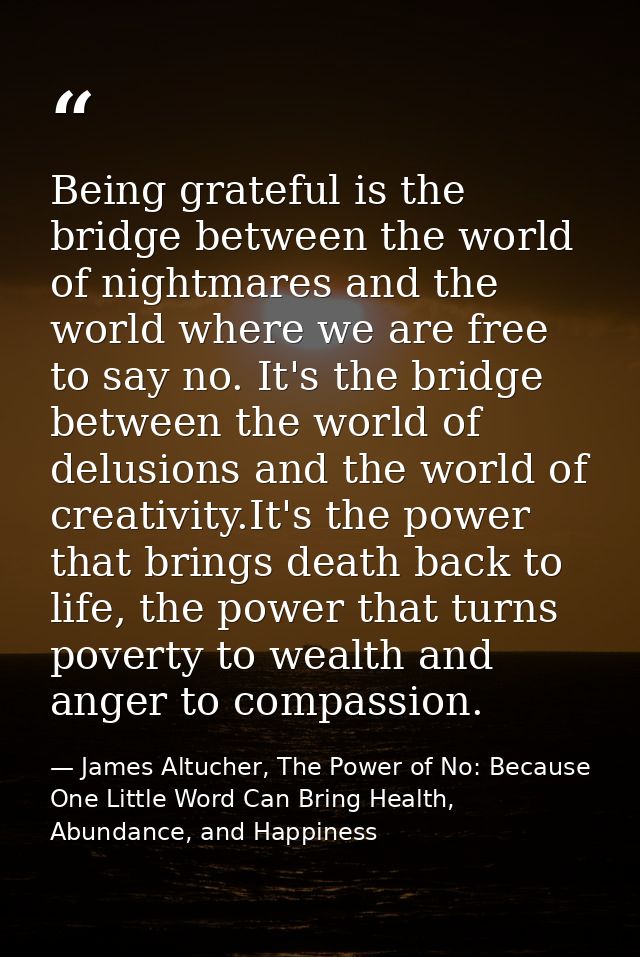 Being grateful is the bridge between the world of nightmares and the world where we are free to say no. It's the bridge  — James Altucher, The Power of No: Because One Little Word Can Bring Health, Abundance, and Happiness