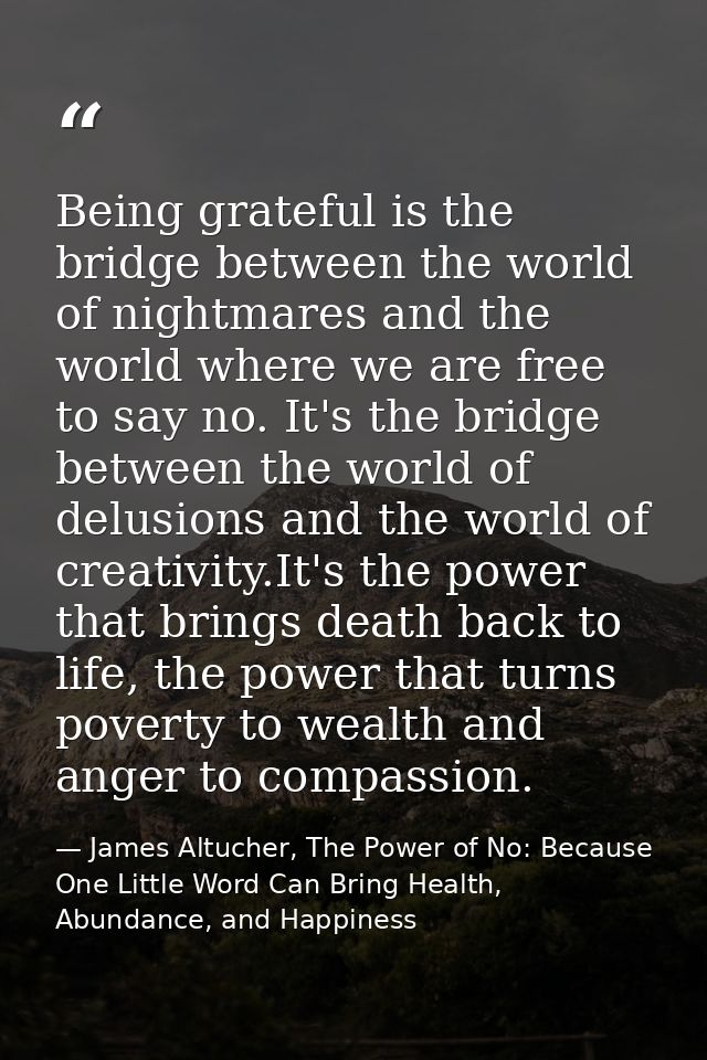 Being grateful is the bridge between the world of nightmares and the world where we are free to say no. It's the bridge  — James Altucher, The Power of No: Because One Little Word Can Bring Health, Abundance, and Happiness