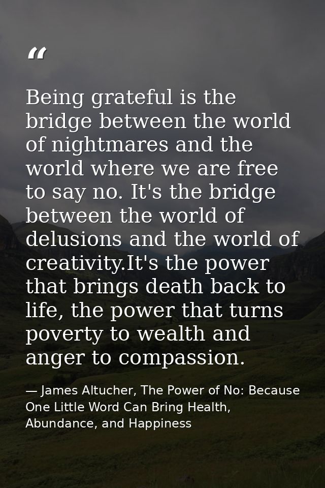 Being grateful is the bridge between the world of nightmares and the world where we are free to say no. It's the bridge  — James Altucher, The Power of No: Because One Little Word Can Bring Health, Abundance, and Happiness