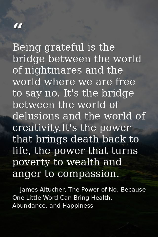 Being grateful is the bridge between the world of nightmares and the world where we are free to say no. It's the bridge  — James Altucher, The Power of No: Because One Little Word Can Bring Health, Abundance, and Happiness