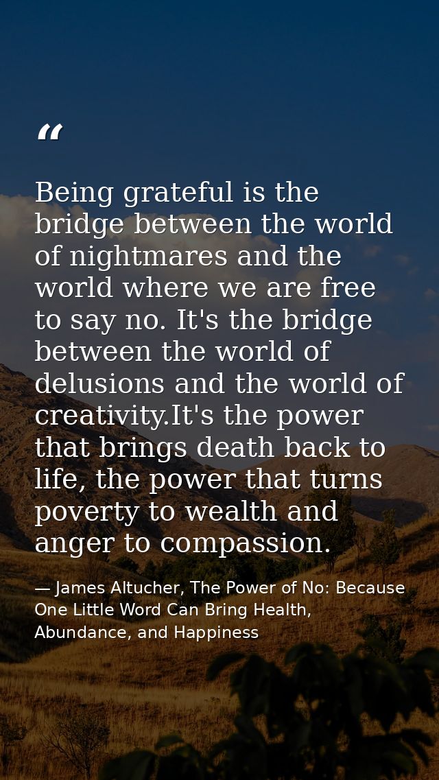 Being grateful is the bridge between the world of nightmares and the world where we are free to say no. It's the bridge  — James Altucher, The Power of No: Because One Little Word Can Bring Health, Abundance, and Happiness