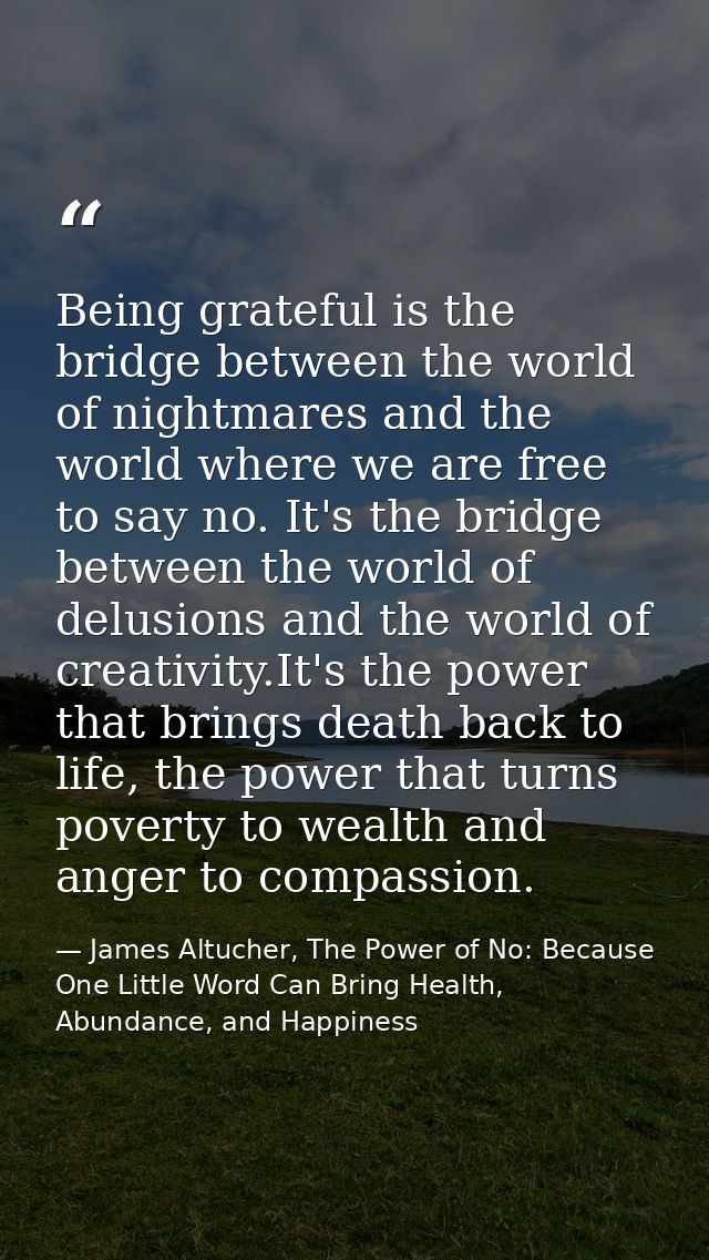 Being grateful is the bridge between the world of nightmares and the world where we are free to say no. It's the bridge  — James Altucher, The Power of No: Because One Little Word Can Bring Health, Abundance, and Happiness